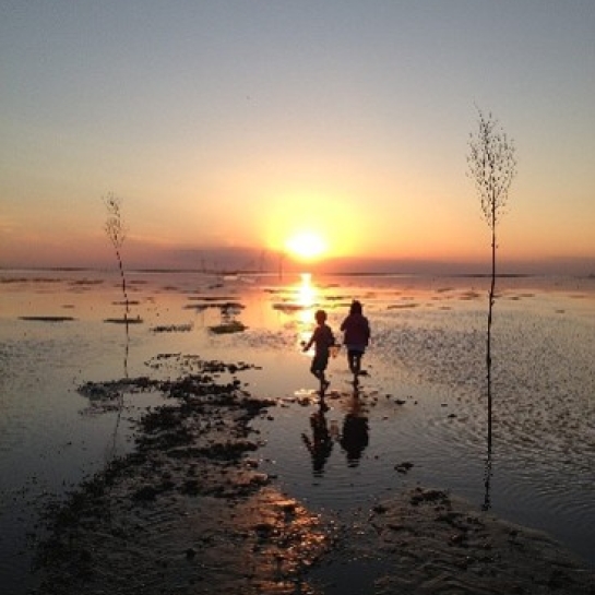 Vadehavet
